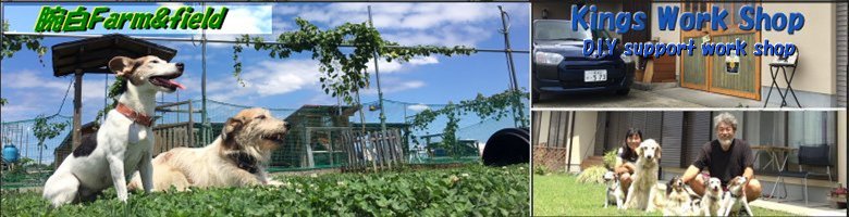 遊んで躾の体感が出来る ドッグラン わんパーク ドッグフィールド腕白 愛知県一宮市