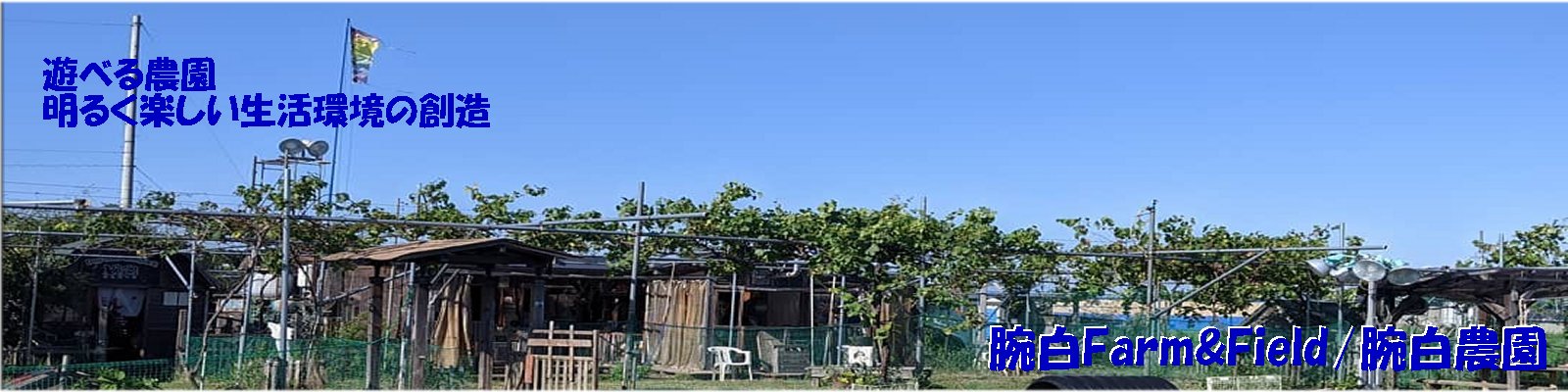 遊んで躾の体感が出来る ドッグラン わんパーク ドッグフィールド腕白 愛知県一宮市